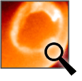 IMAGE Data