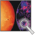 Solar Disk