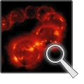 Solar Cycle Montage